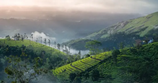 Popular Travel Destination